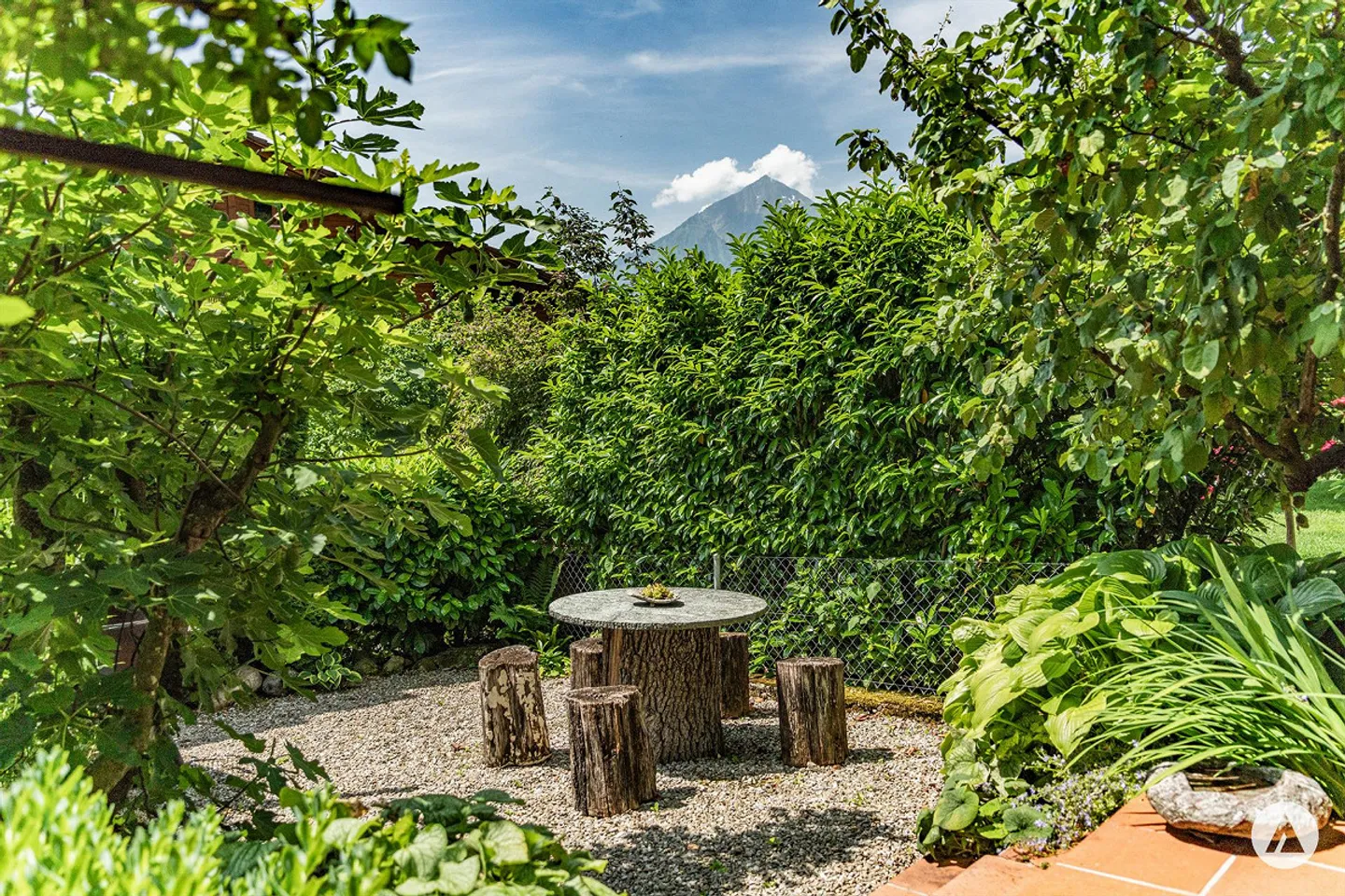 Hidden Gem with Charm and View - Photo 5 of 13