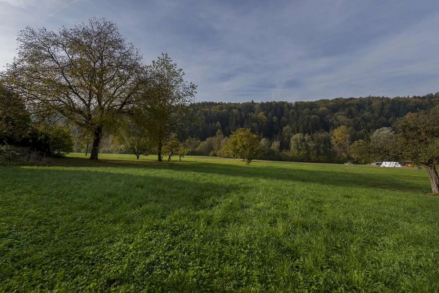 Here ends your apartment search - Photo 7 of 7