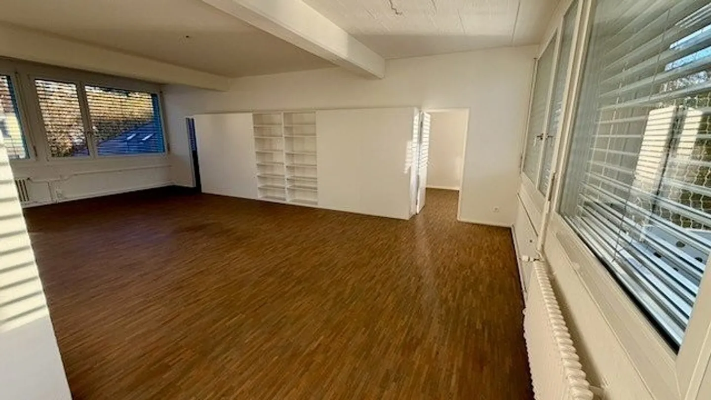 Charming Loft Apartment in Central Location of Biel - Photo 6 of 20