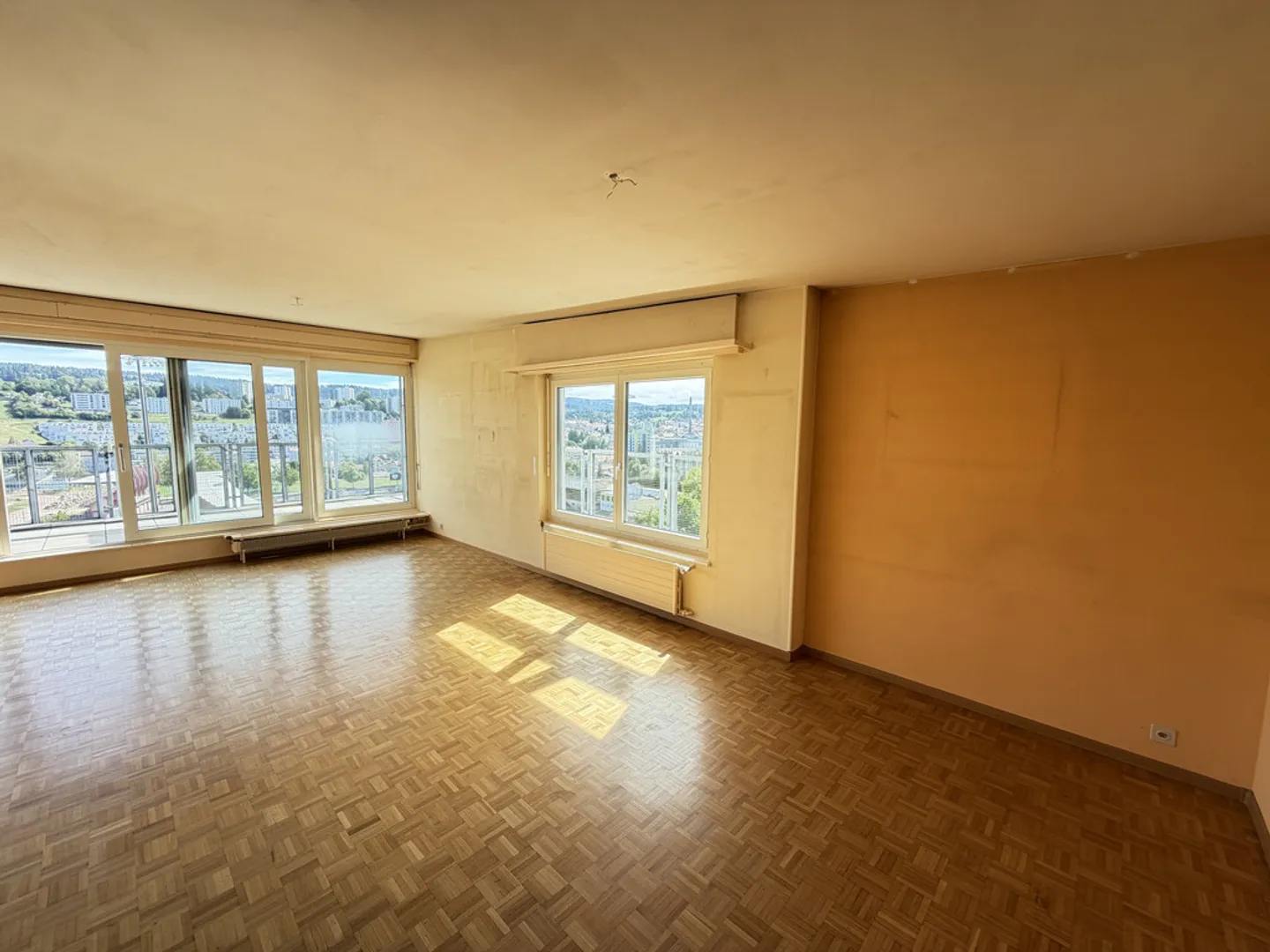 Spacious attic with a panoramic terrace - Photo 5 of 12