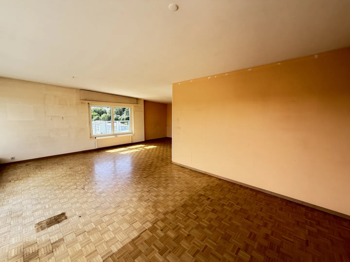 Spacious attic with a panoramic terrace - Photo 3 of 12