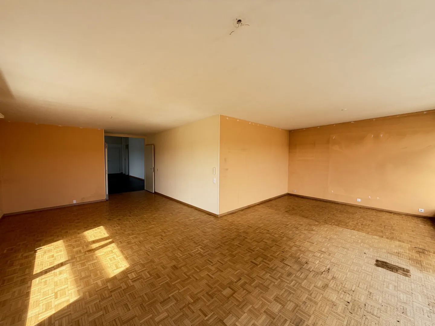 Spacious attic with a panoramic terrace - Photo 4 of 12
