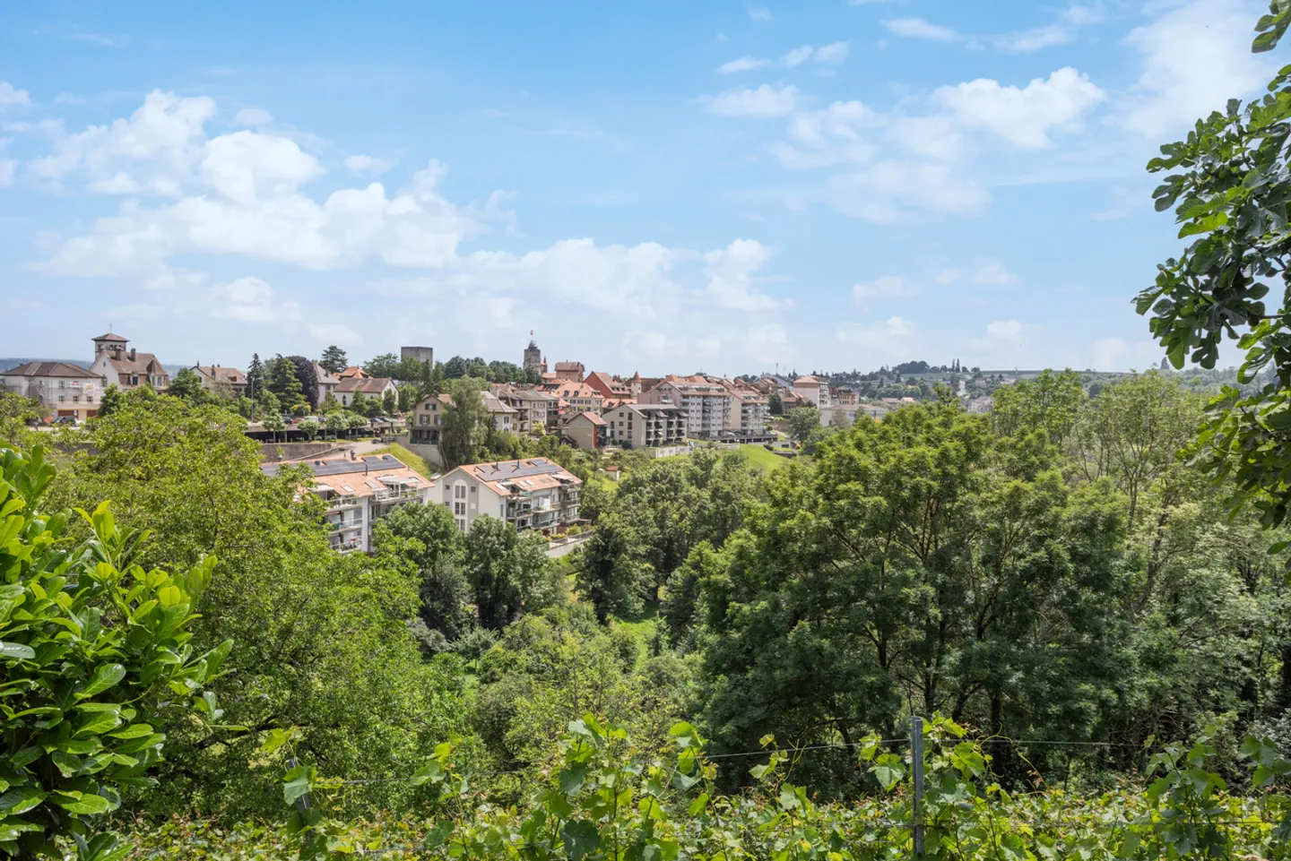 Sumptuous historic property on a wine estate! - Photo 25 of 29