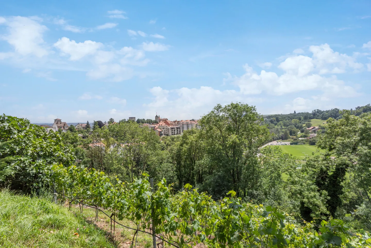 Sumptuous historic property on a wine estate! - Photo 27 of 29