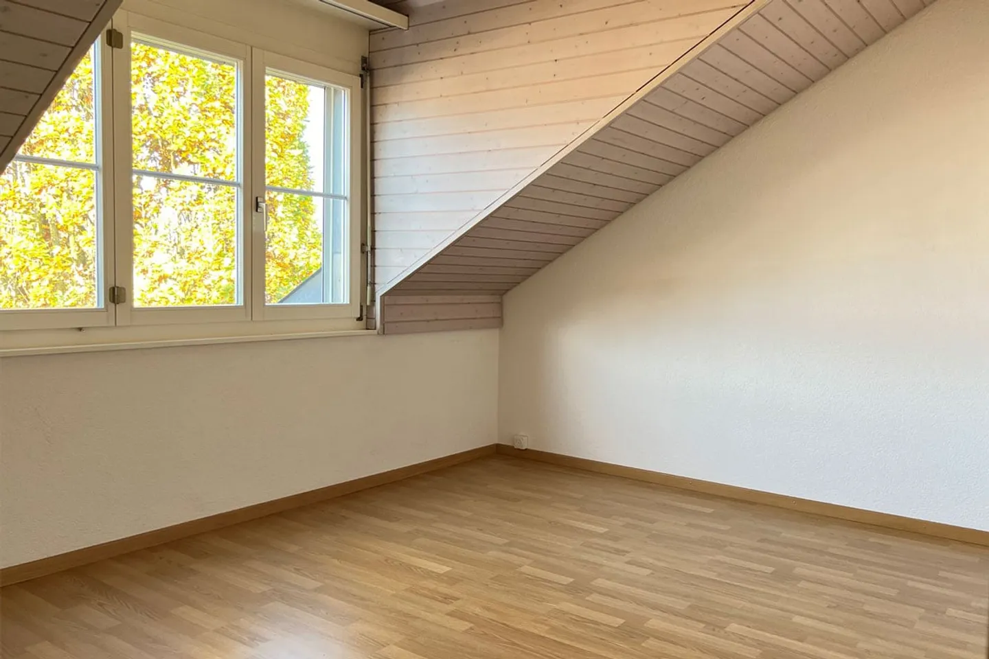 Charming Penthouse Apartment - quiet, central, bright and with a view - Photo 6 of 14