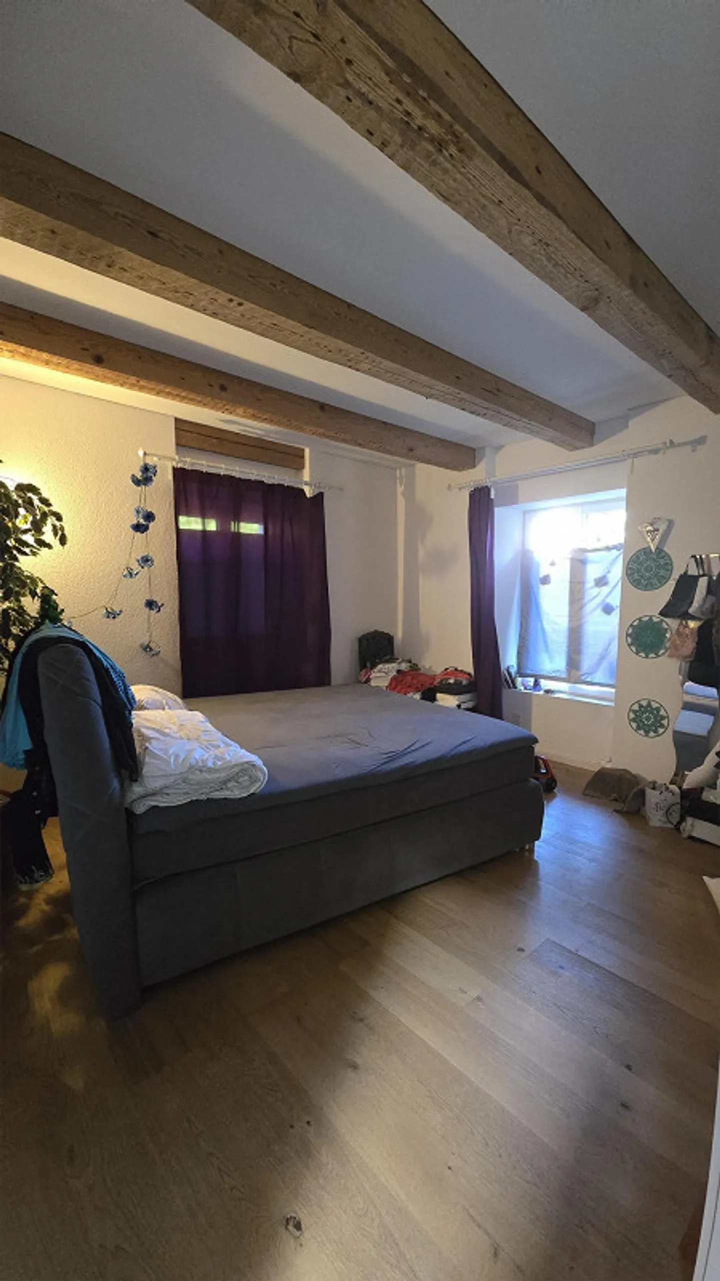 7 Zimmer Einfamilienhaus mit grossem Garten - Foto 6 von 12