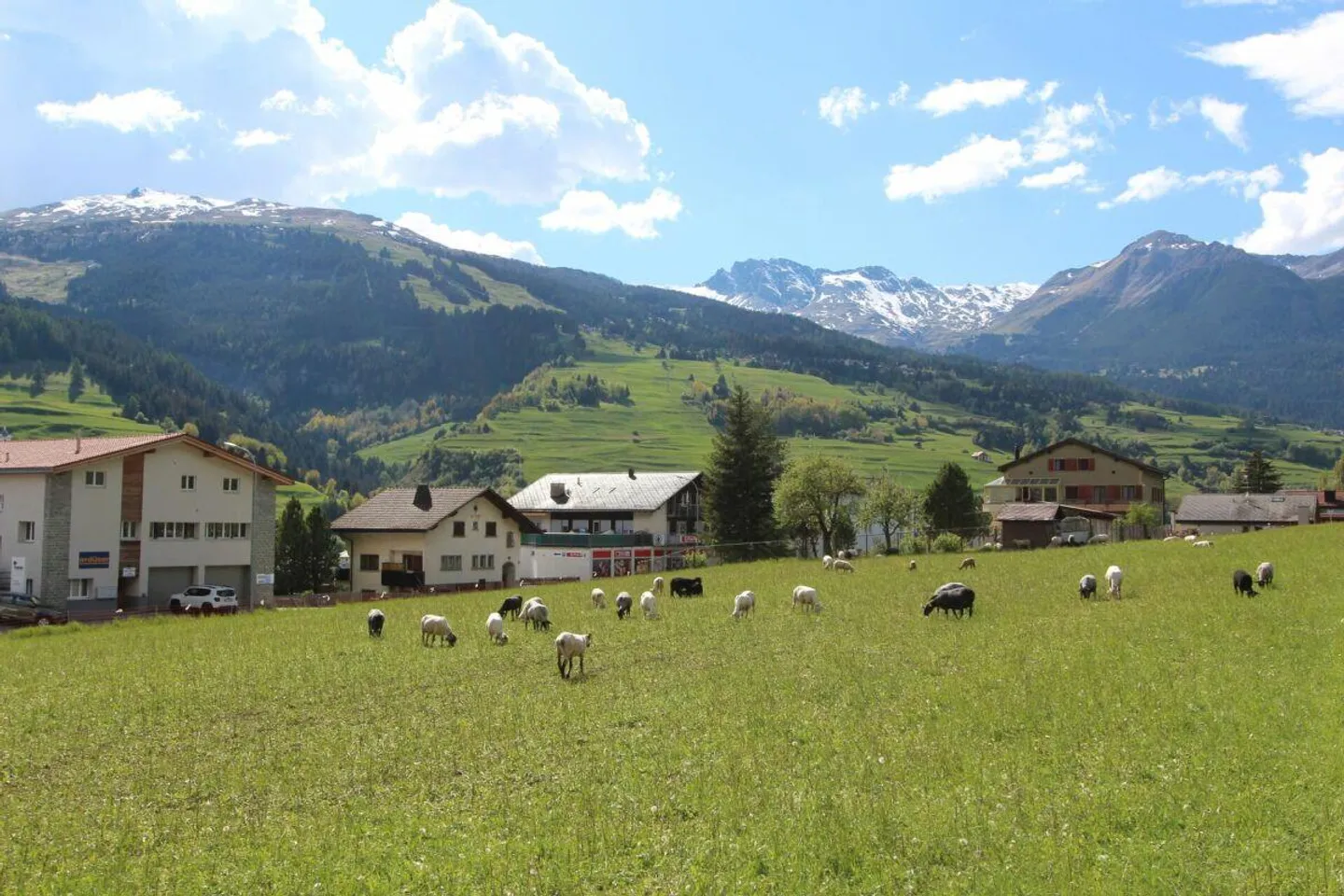 Grande lotto edificabile a Savognin - Foto 1 di 7