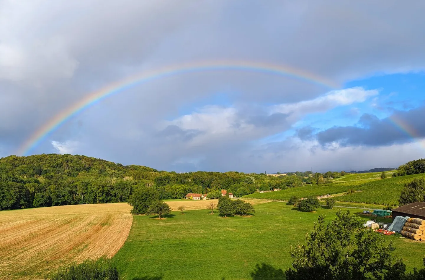 Charmantes Schweizer Chalet - Foto 10 von 11