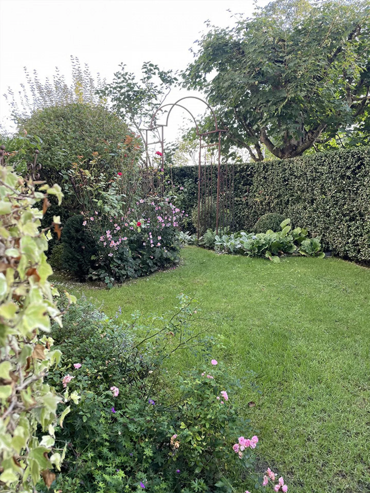 Appartamento al piano terra di 3,5 stanze con giardino privato - Foto 3 di 19