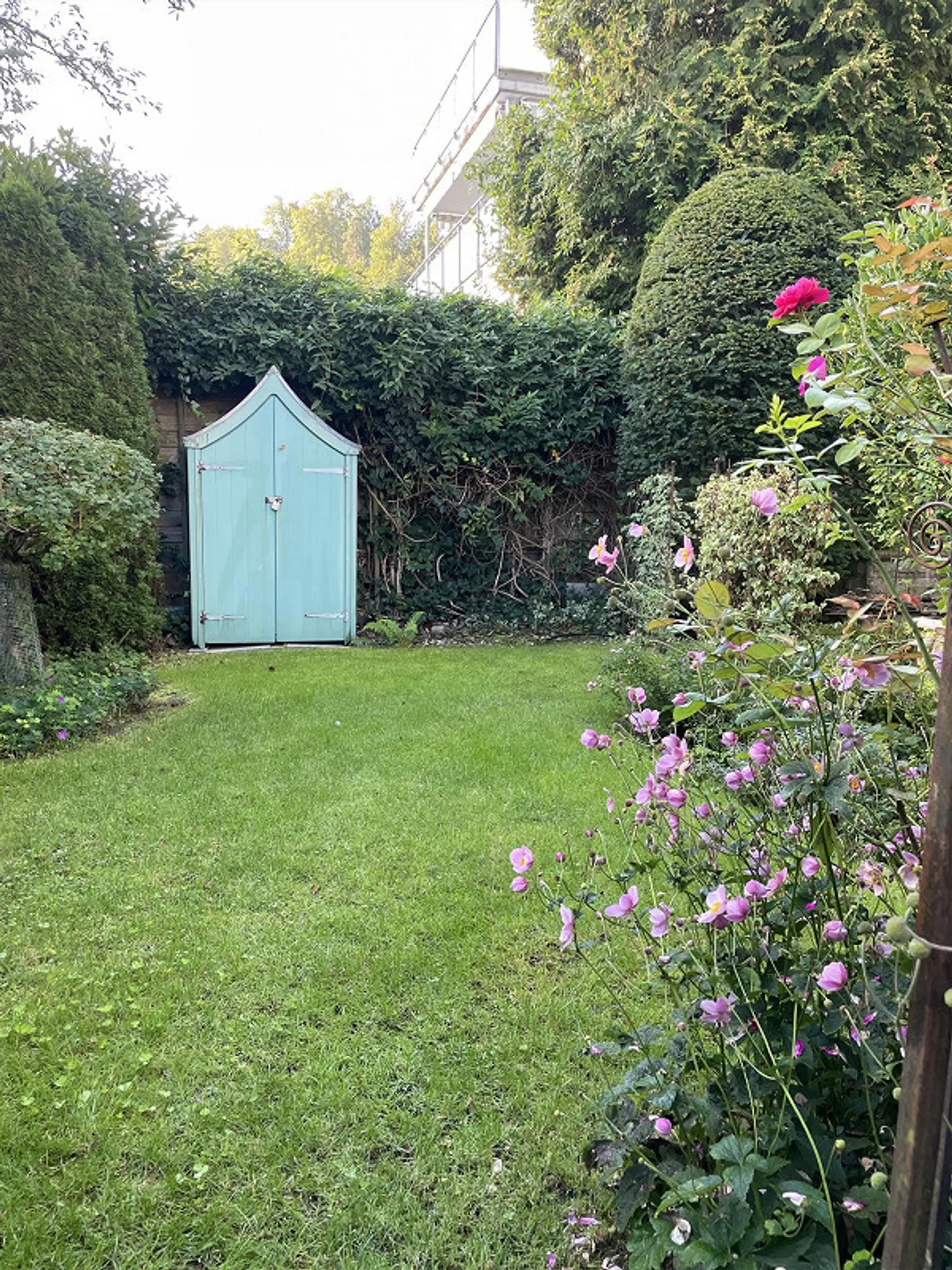 Appartamento al piano terra di 3,5 stanze con giardino privato - Foto 5 di 19