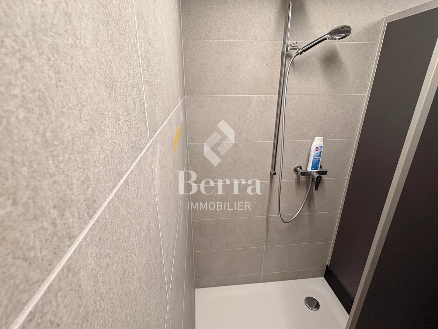 117 m² New Goods for Your Activity - Strategic Location in Martigny - Photo 6 of 9