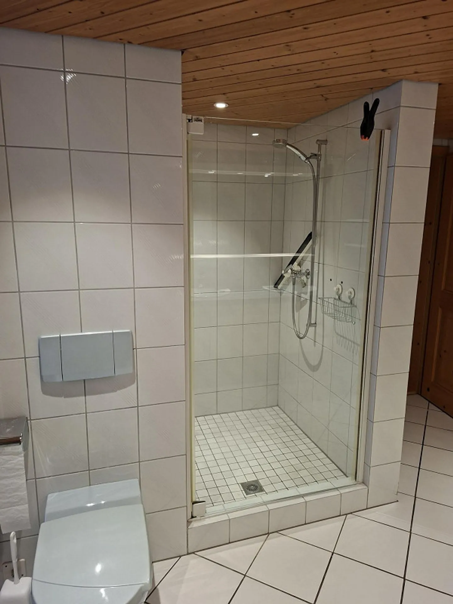 Property for Horse Keeping - Photo 6 of 27