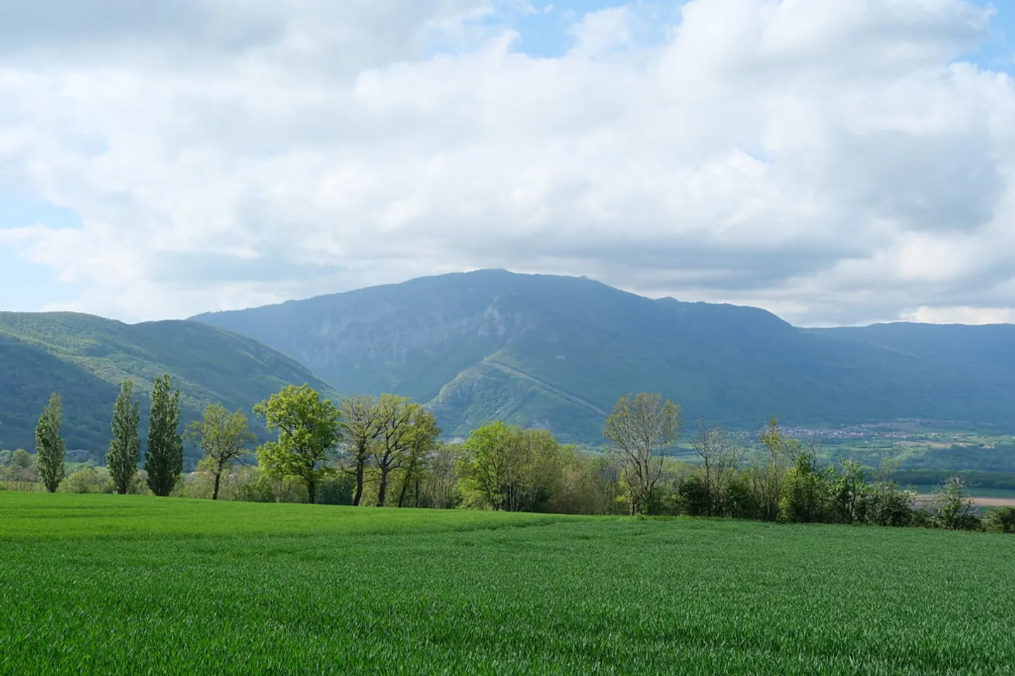 Terreno edificabile - Foto 1 di 1