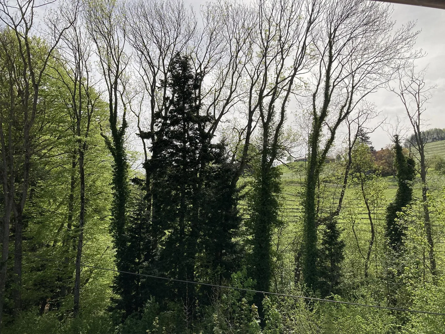 Charmante Wohnung mit Seesicht - Foto 13 von 17