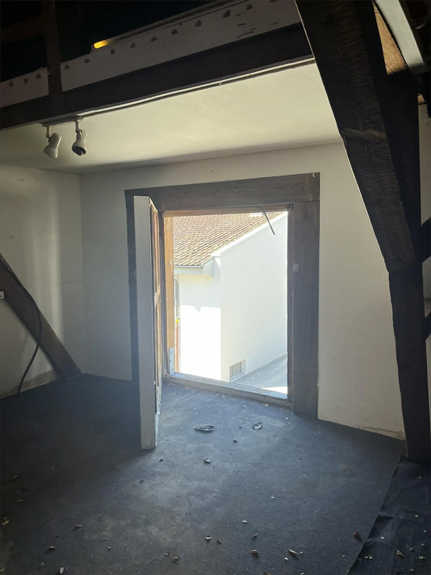 Warehouse in Sempach am See - Photo 8 of 12