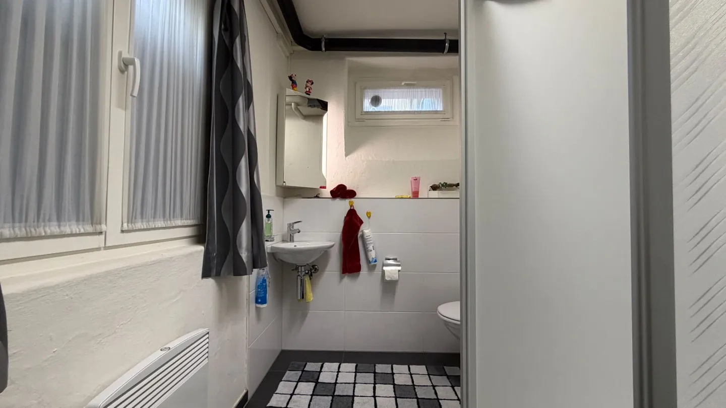 Generational House with 6.5-Room Maisonette and Rented 3-Room Apartment - Photo 9 of 18