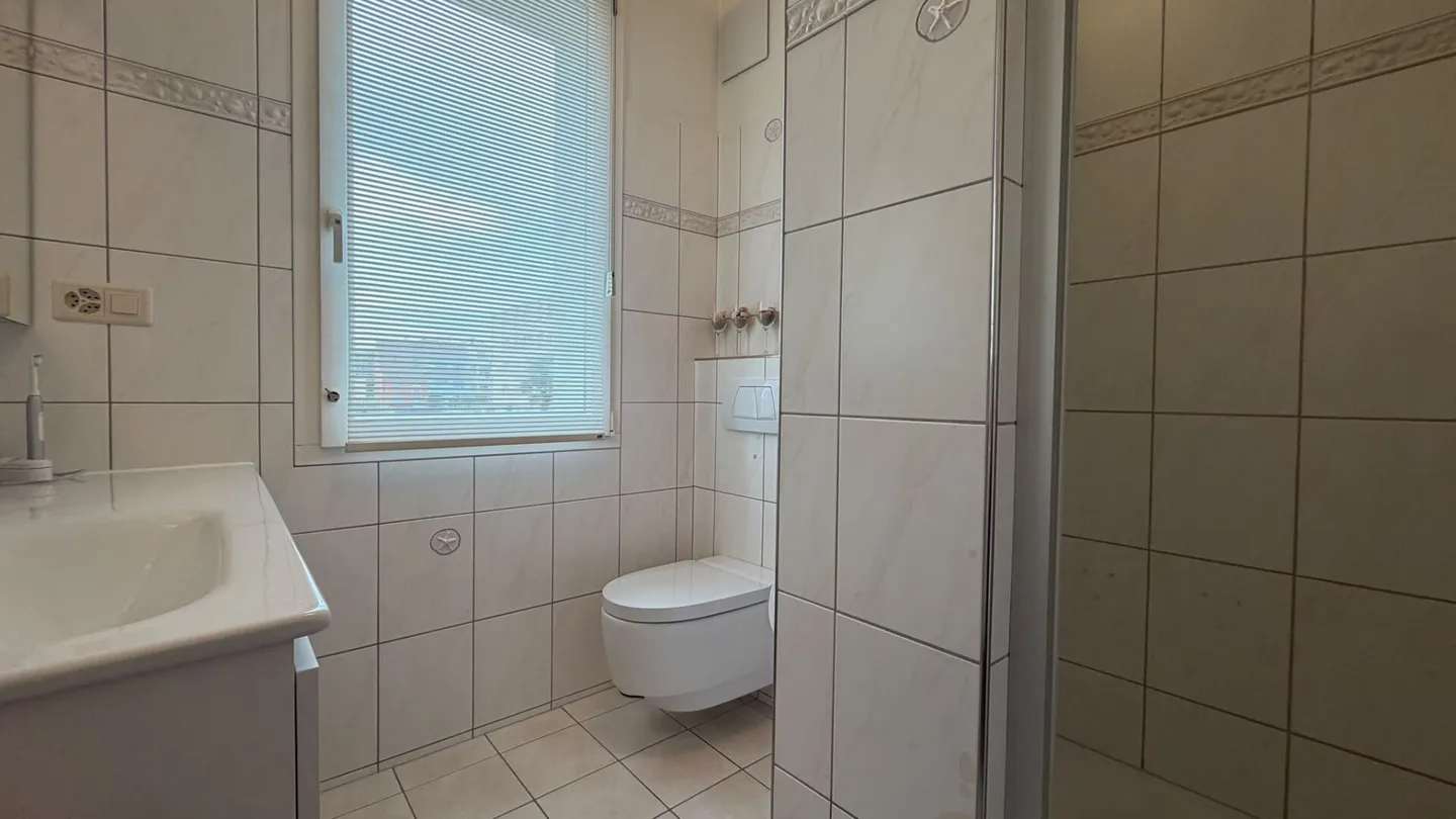 Generational House with 6.5-Room Maisonette and Rented 3-Room Apartment - Photo 12 of 18