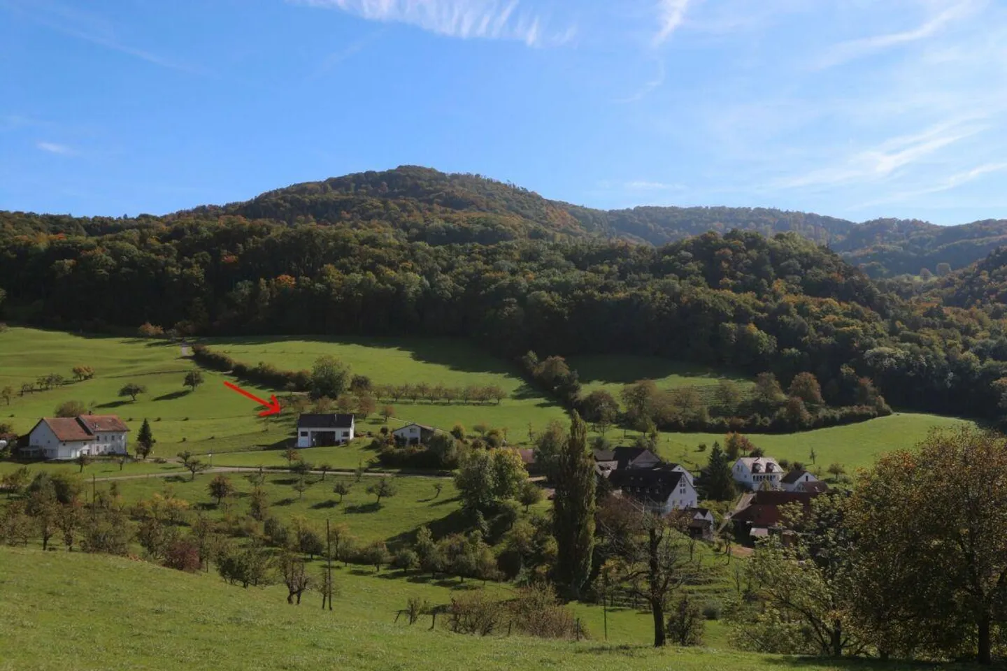 Un'oasi residenziale vicino a Sissach - Foto 1 di 19