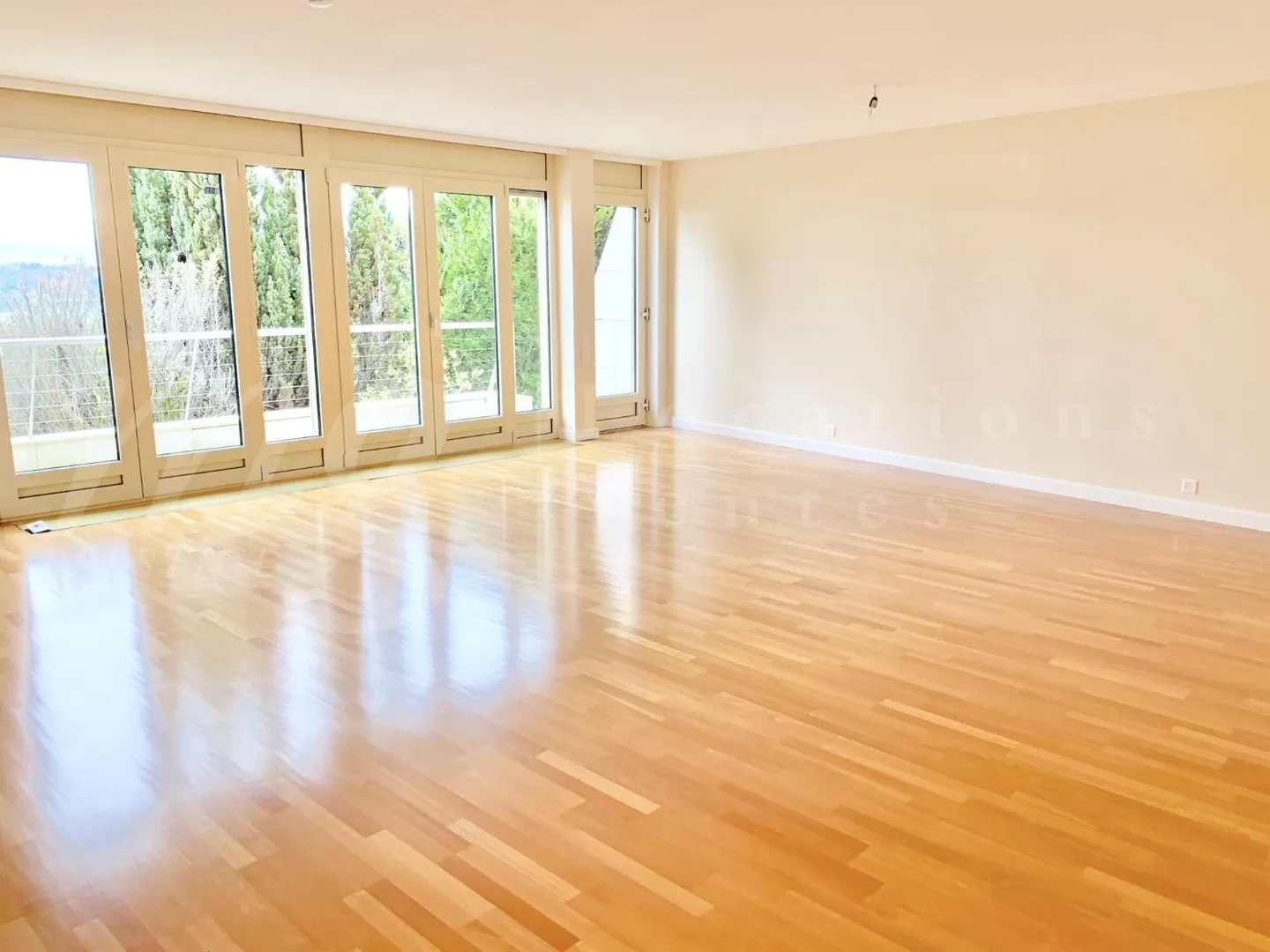 180° PANORAMIC VIEW OF THE LAKE - MODERN HOUSE OF 400 m2 - SWIMMING POOL - ELEVATOR - Photo 6 of 8