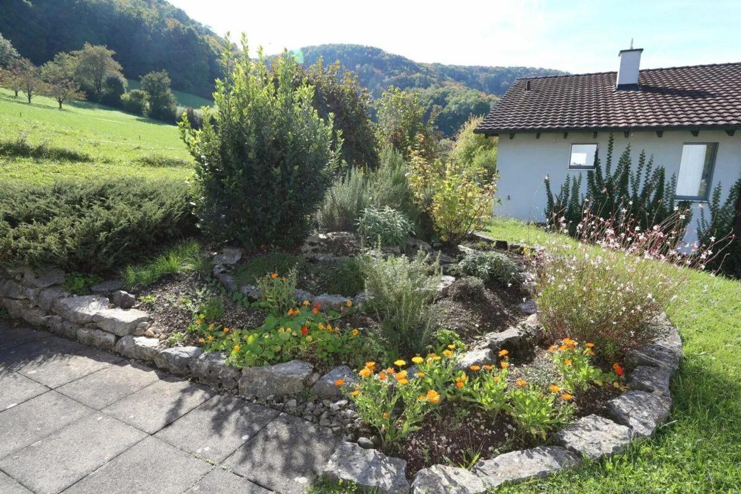 Un'oasi residenziale vicino a Sissach - Foto 7 di 19