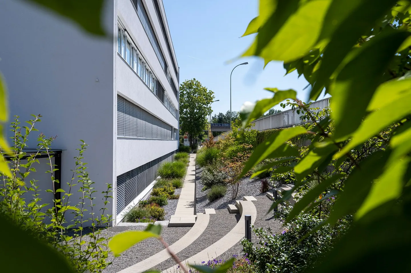 Office and Storage Spaces on the Ground Floor - Photo 3 of 8