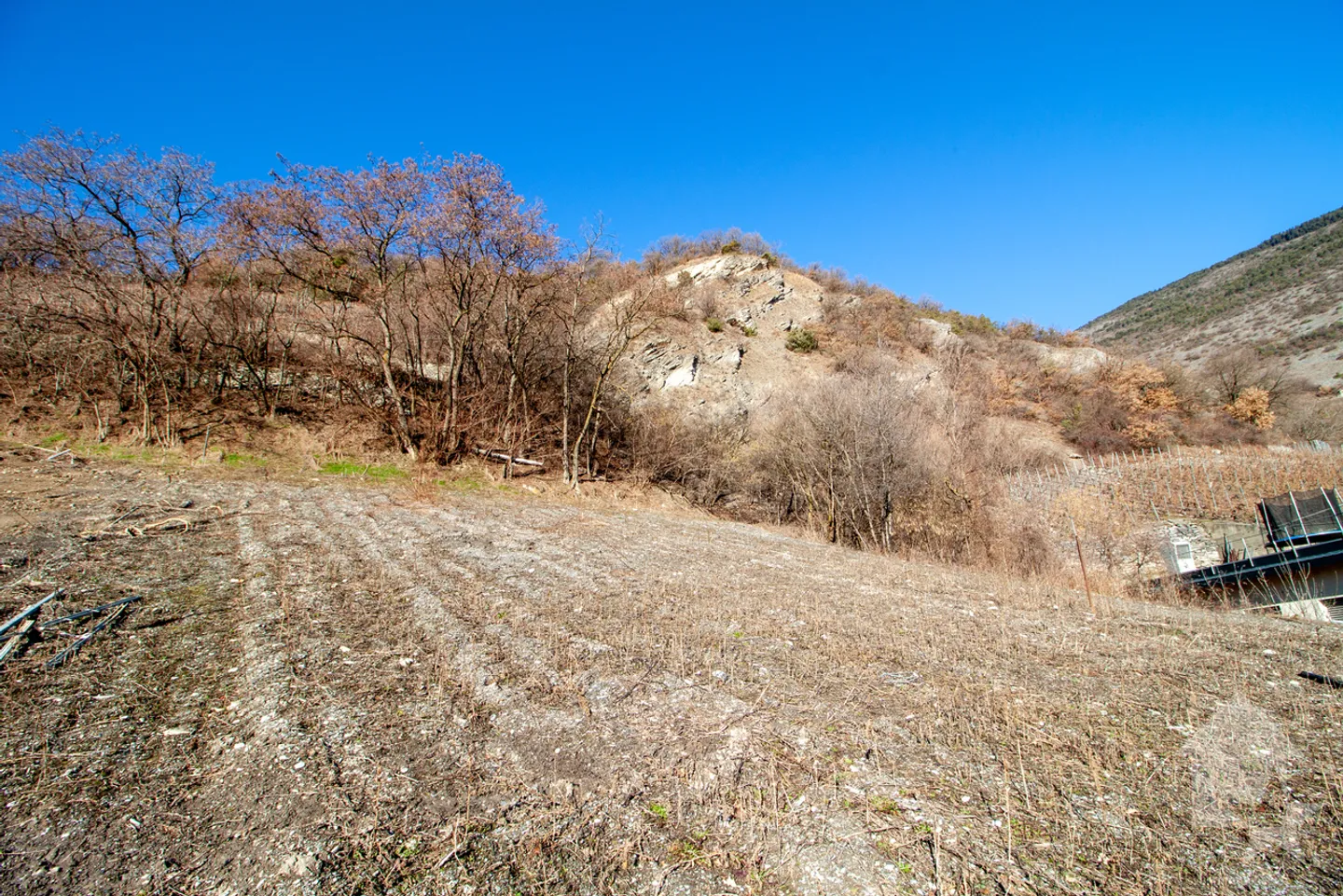 ! Spezialinvestor ! 1000 m2 Grundstück mit Baugenehmigung - Foto 8 von 8