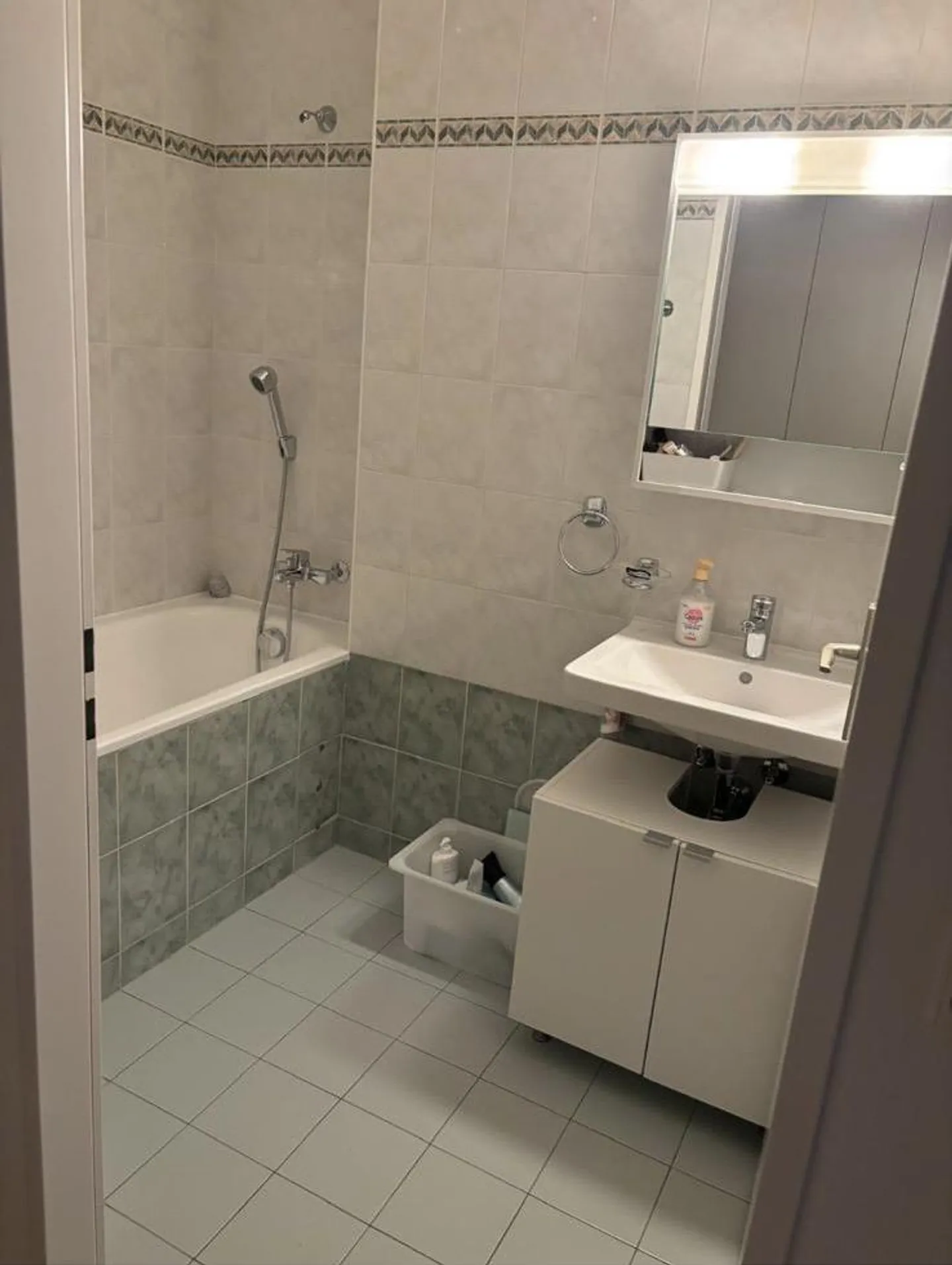 Ampio appartamento con 3 camere nel quartiere Florissant - Foto 4 di 5