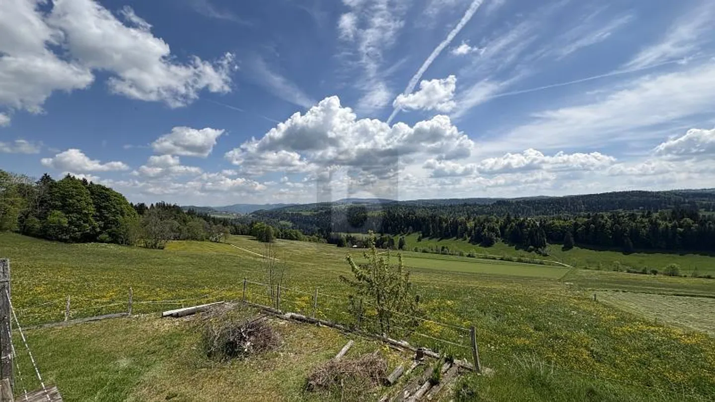 UNE VUE MAGNIFIQUE SUR LA NATURE - Foto 1 di 6