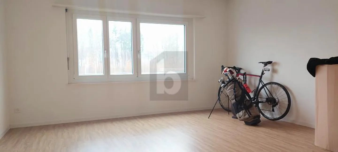 SPAZIOSO CON TERRAZZA SOLEGGIATA - Foto 4 di 6