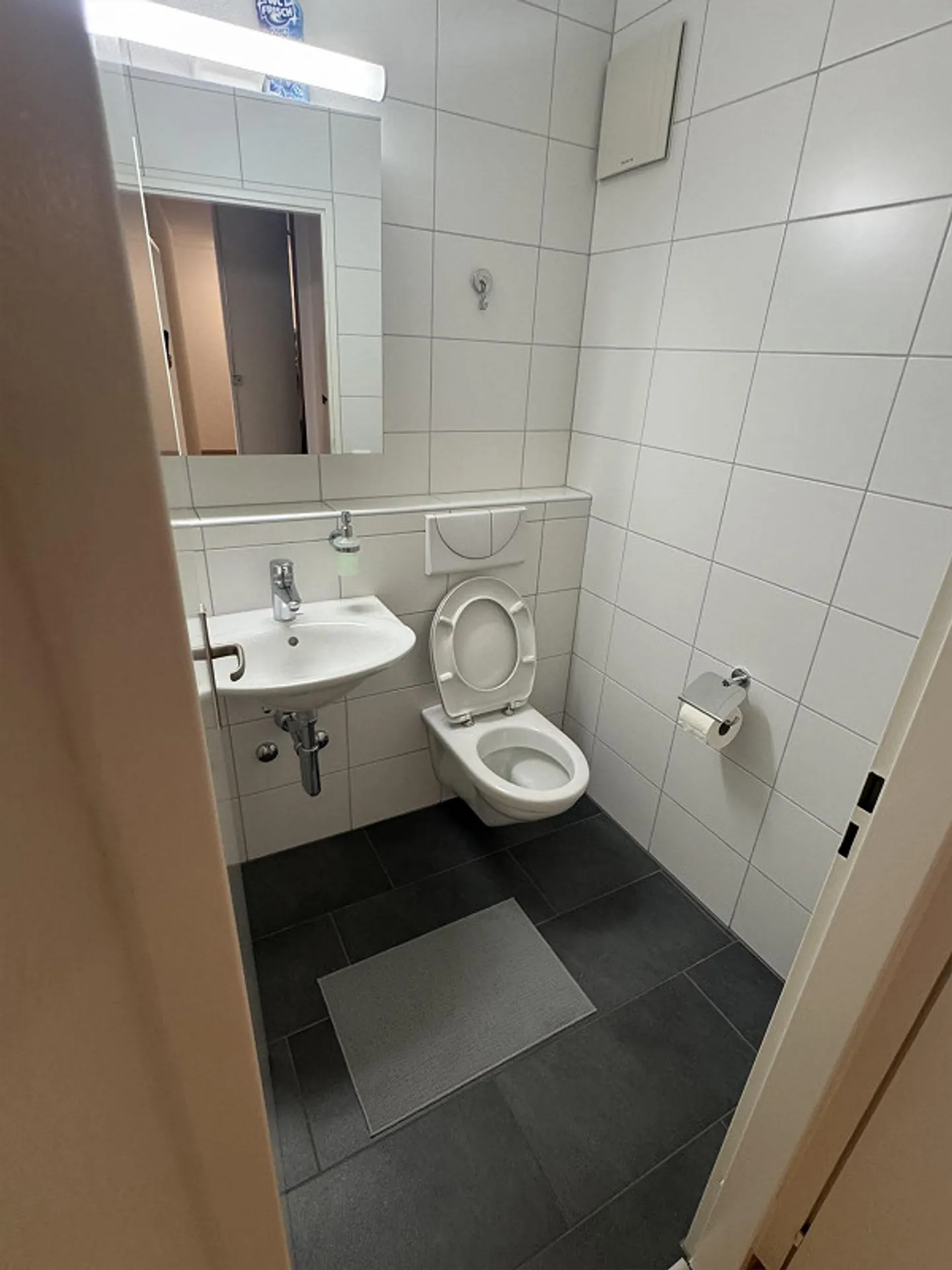 Charming 3.5-Room Apartment - Photo 10 of 16