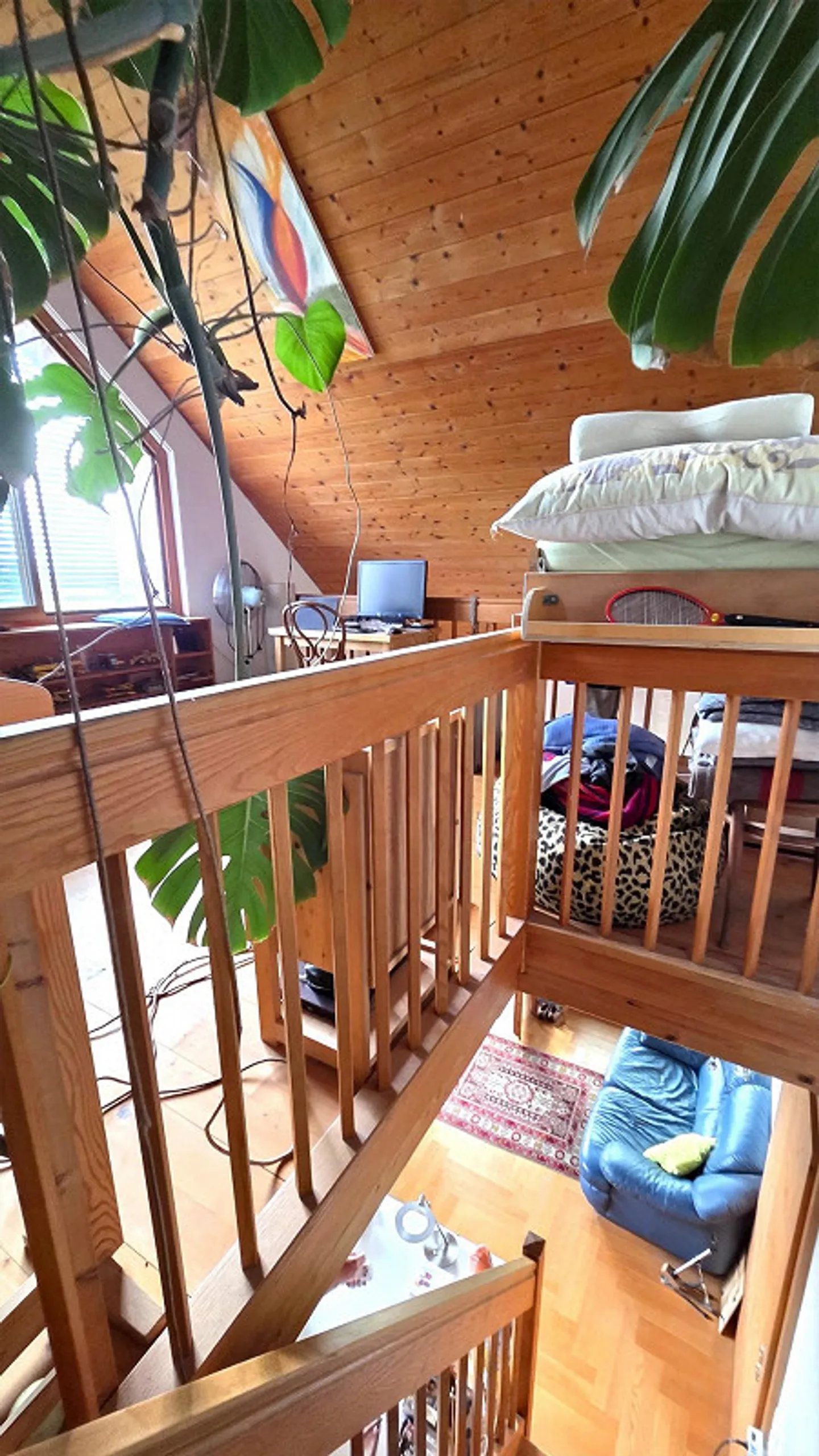 Detached single-family house with a separate apartment and many extras - Photo 16 of 22