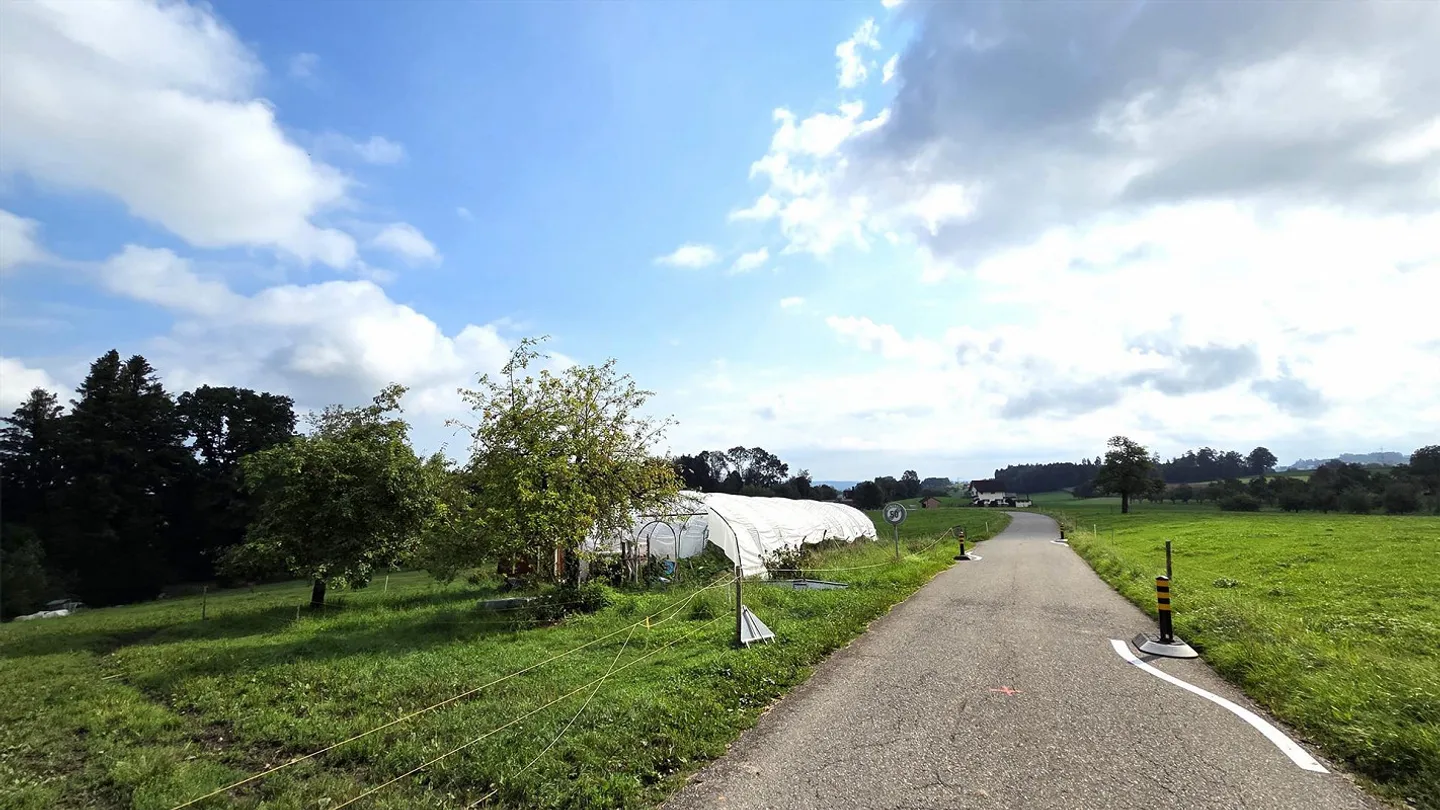 Detached single-family house with a separate apartment and many extras - Photo 19 of 22