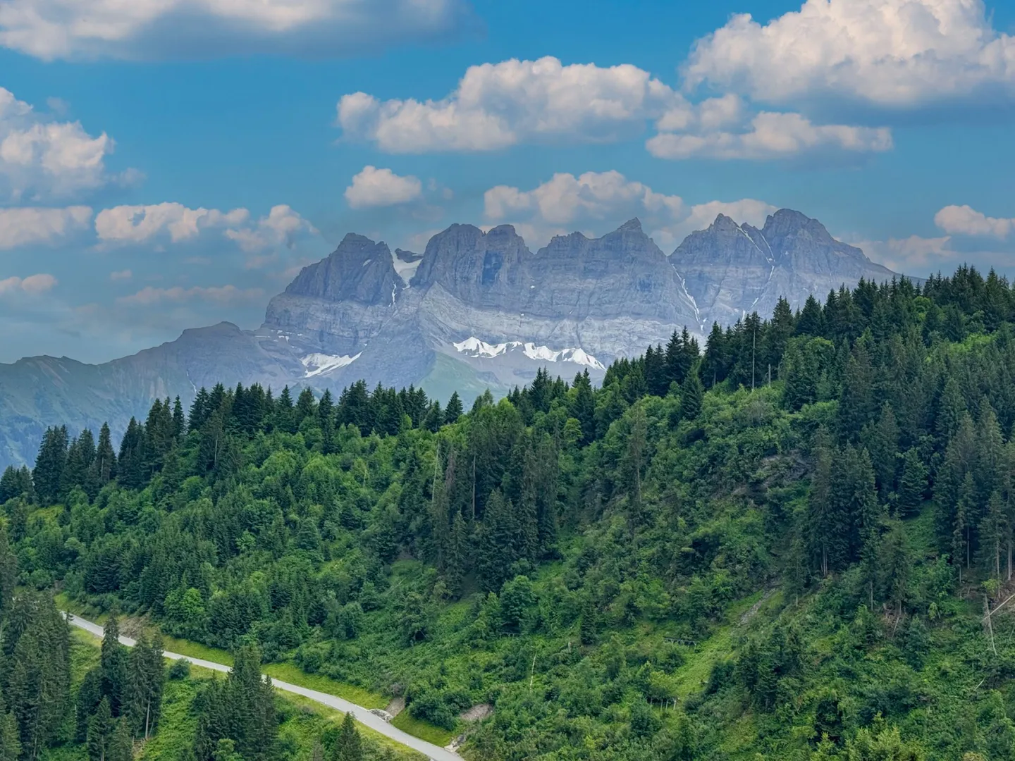 Appartamento con 2,5 stanze e terrazza - Foto 1 di 11