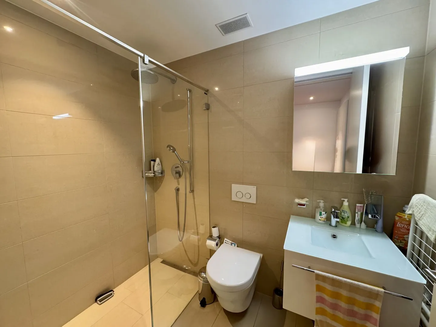 Appartamento esclusivo di 4,5 locali in una posizione privilegiata a Zurigo Höngg - Foto 11 di 12