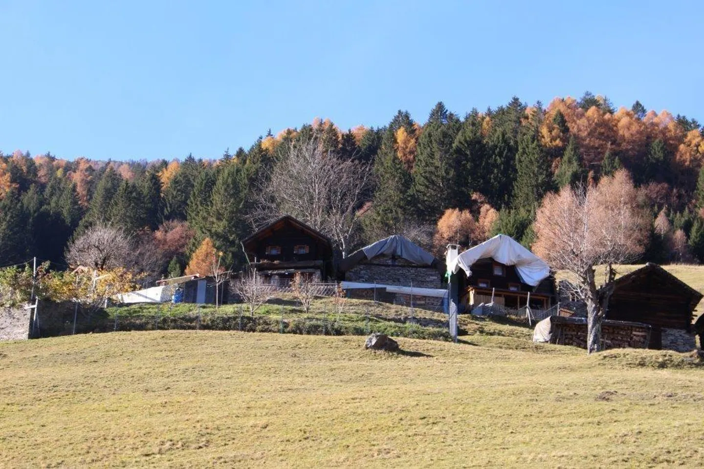 Diverse case Walser da 90 000.--Fr. - Foto 13 di 20