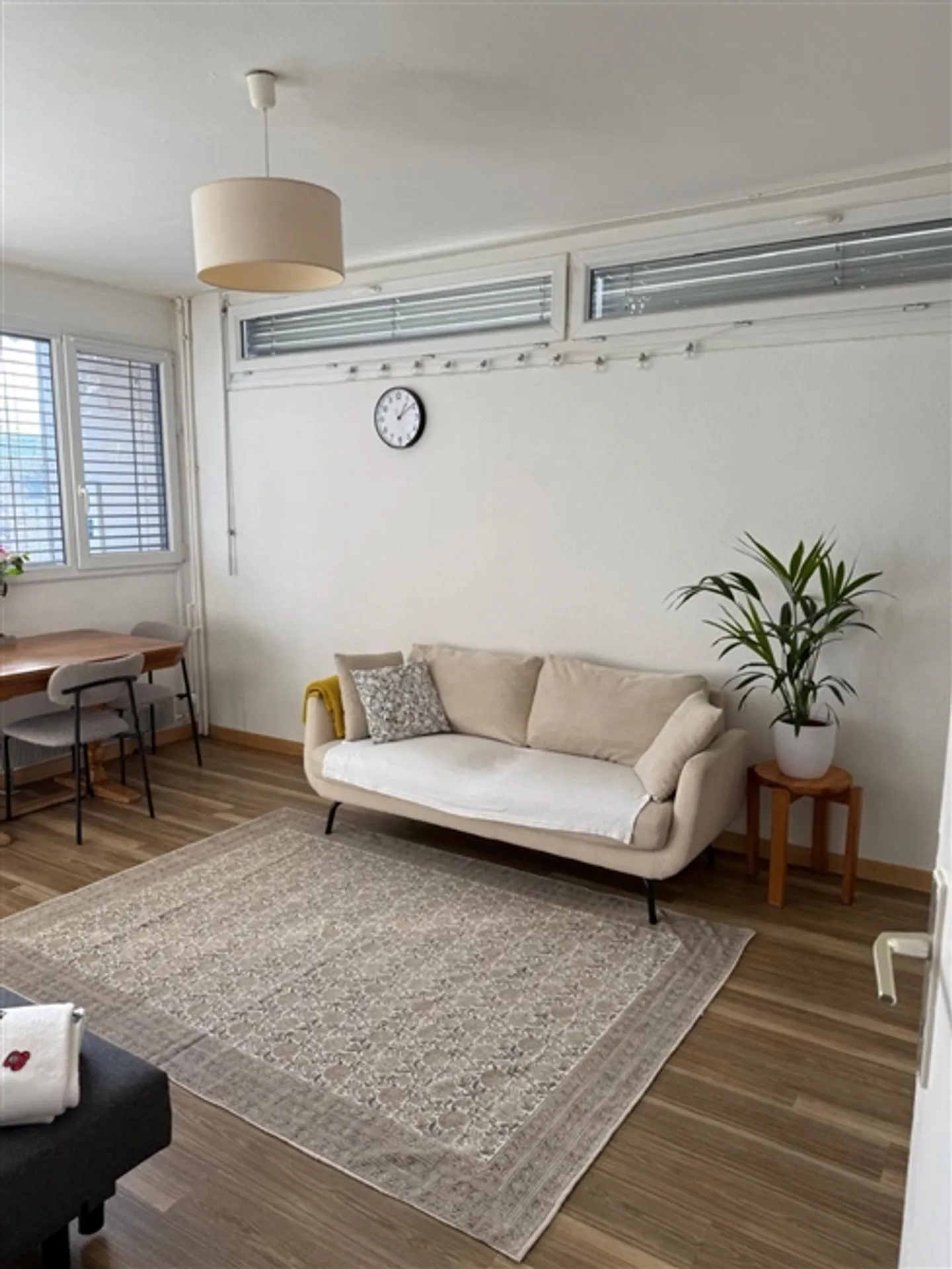 Charmante 2-Zimmer-Wohnung in Carouge - EXKLUSIVITÄT - Foto 3 von 10