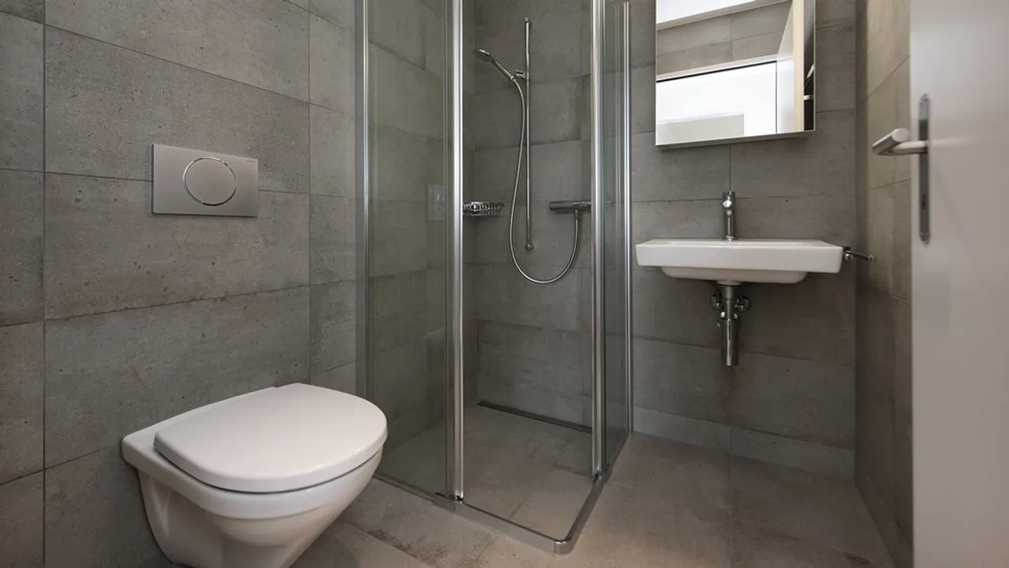 Modern 4.5-Room Apartment - Photo 9 of 11