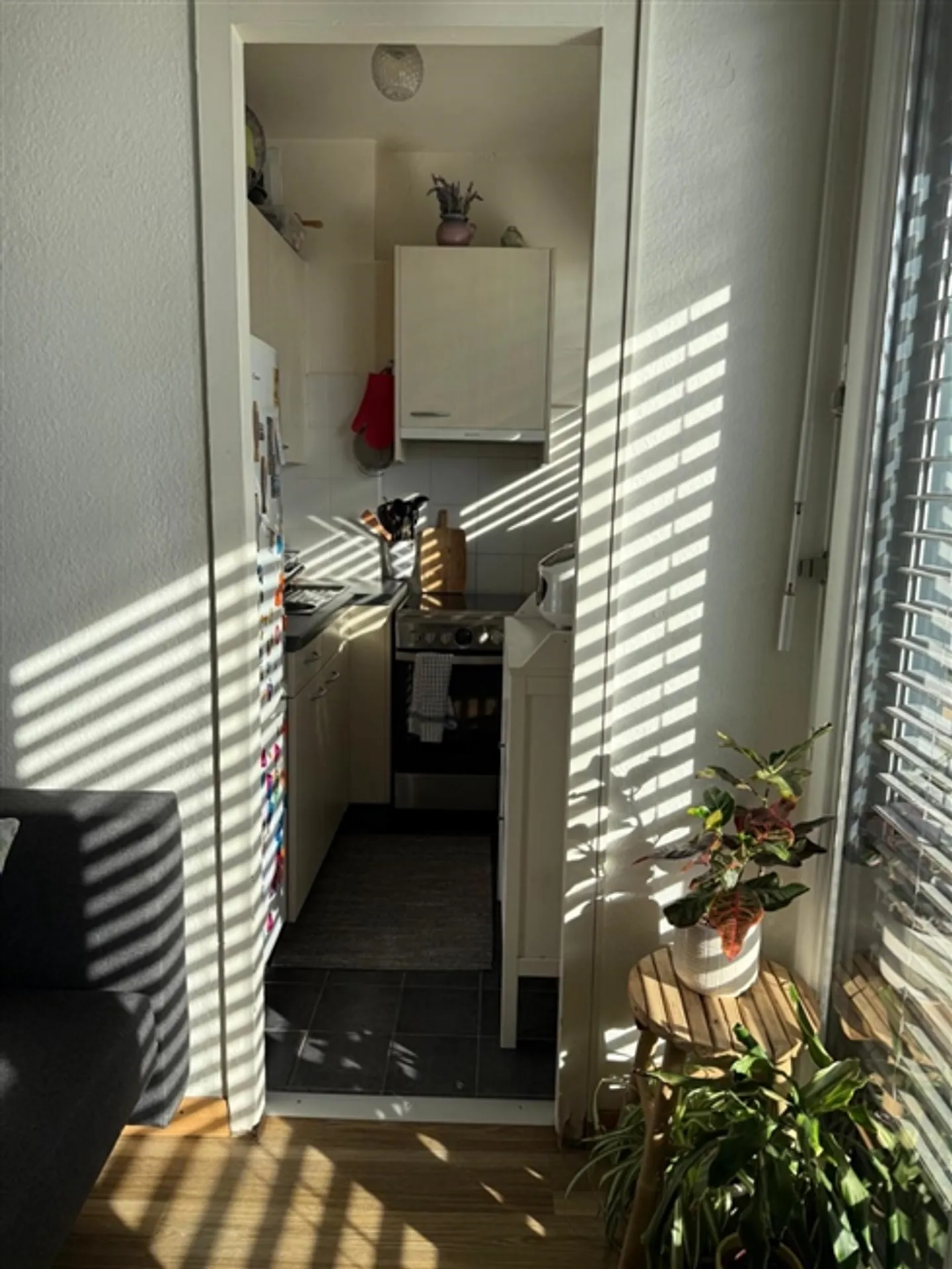 Charmante 2-Zimmer-Wohnung in Carouge - EXKLUSIVITÄT - Foto 5 von 10