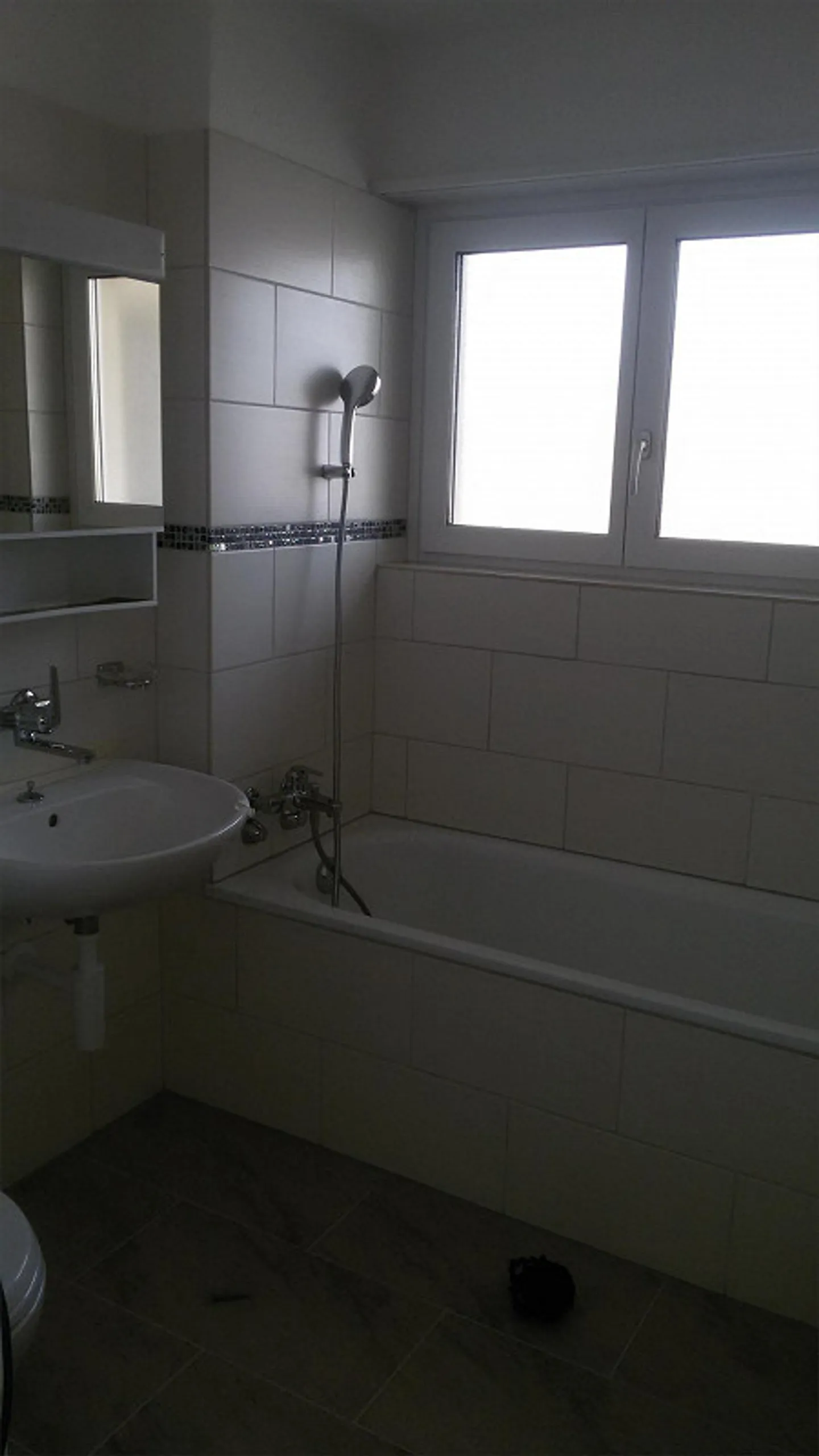 Geräumige Wohnung in Niedergösgen - Foto 4 von 8