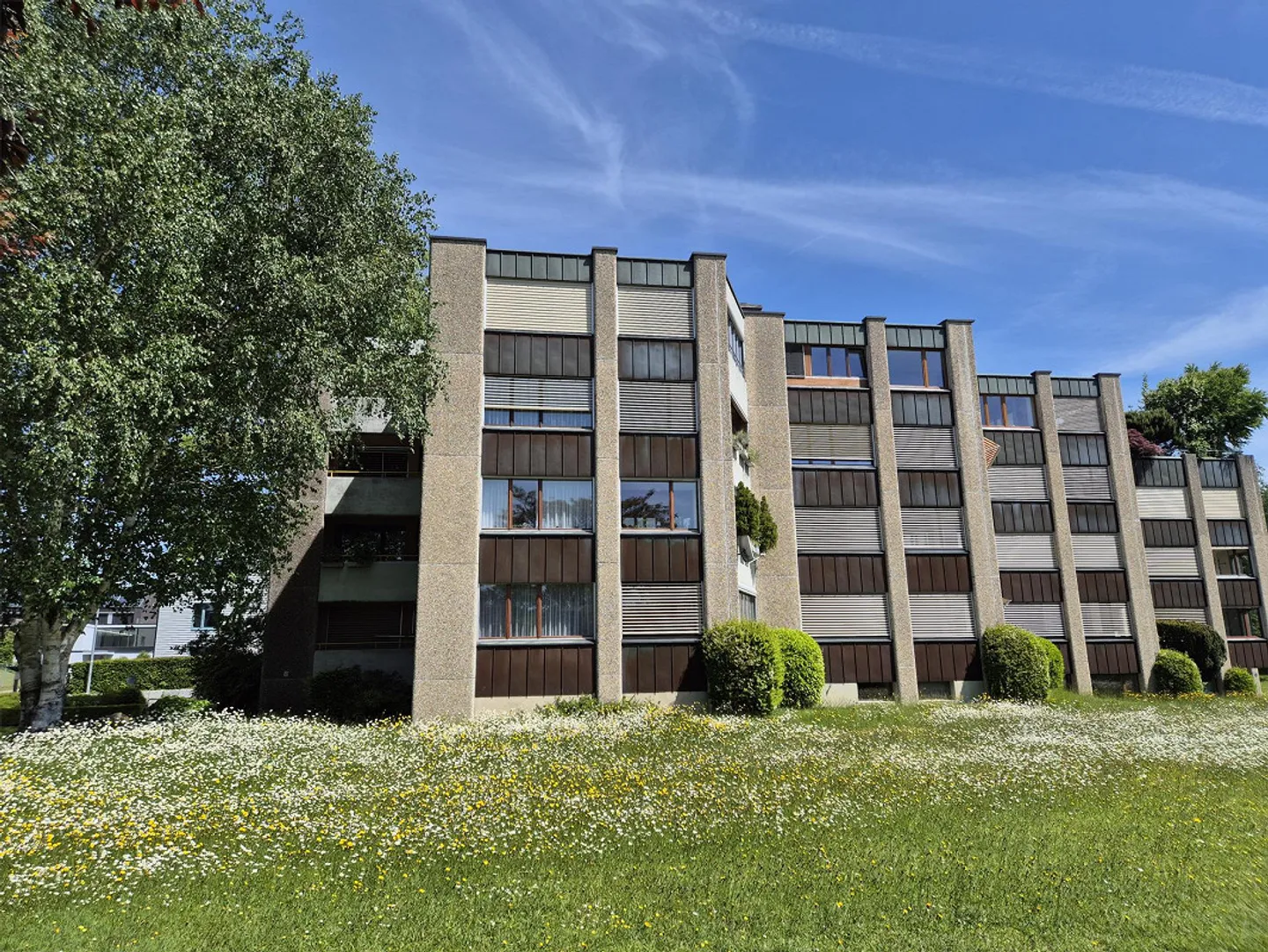 Geräumige 5.5-Zimmer-Wohnung - Foto 12 von 12