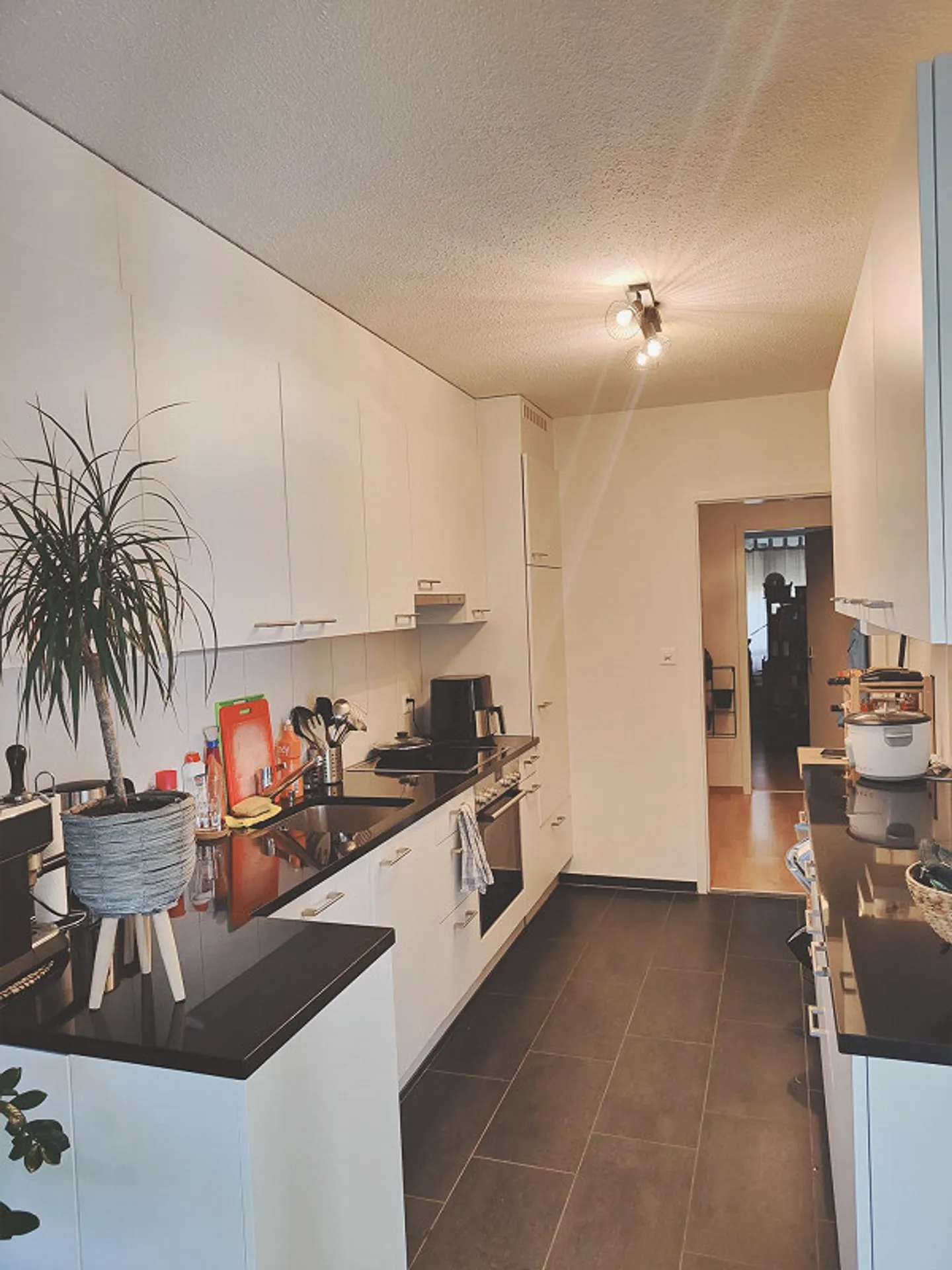 Charming 3.5-Room Ground Floor Apartment in Spiegel near Bern - Photo 3 of 4