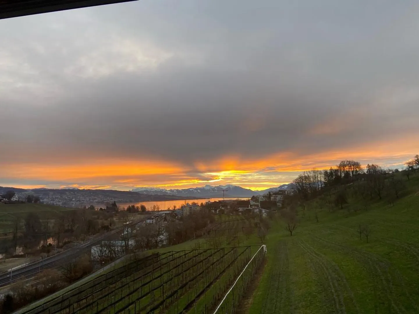 Appartamento 3,5 locali in un ambiente soleggiato - Foto 1 di 8