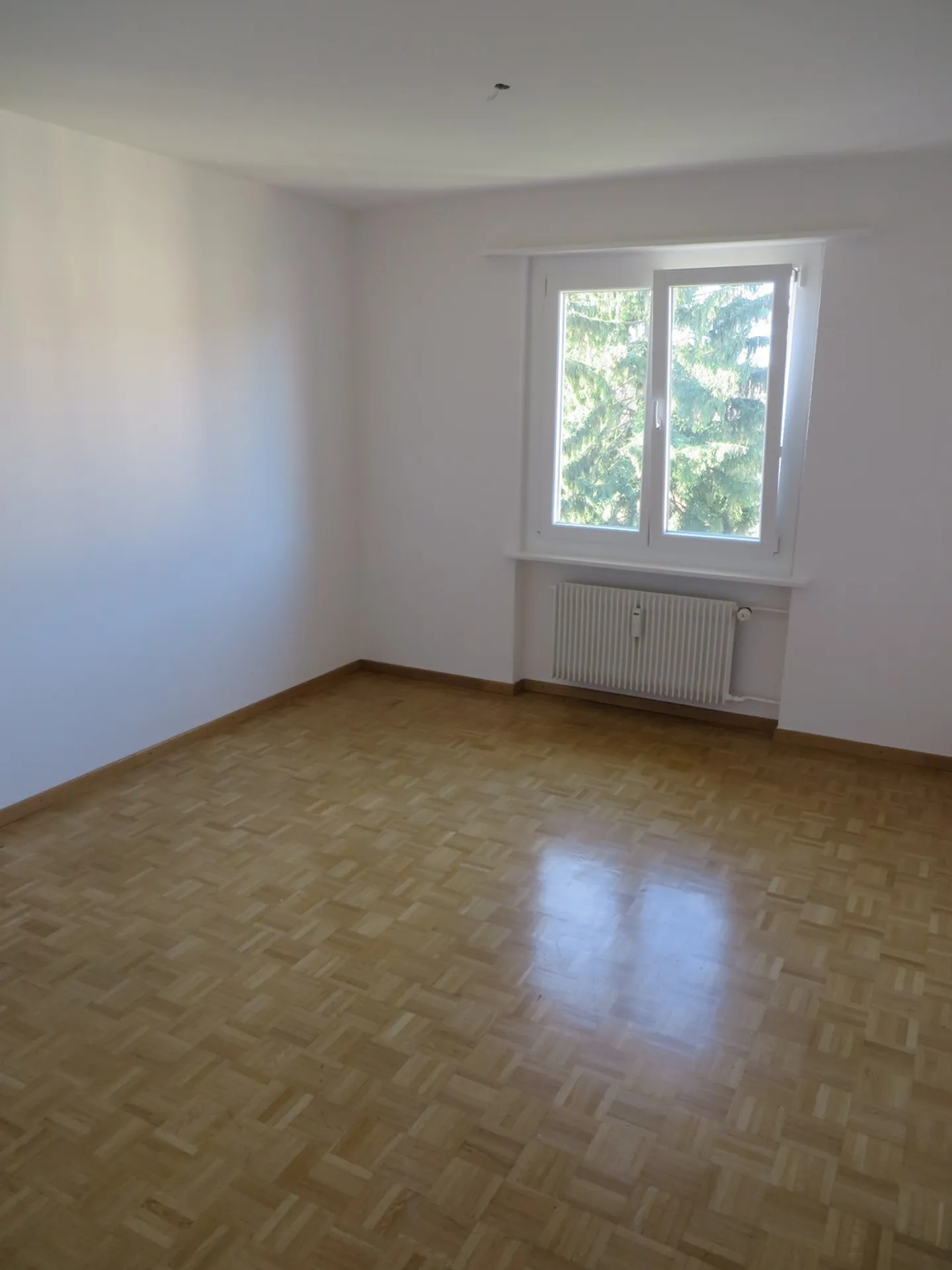 Geräumige Wohnung mit Blick ins Grüne - Foto 3 von 5