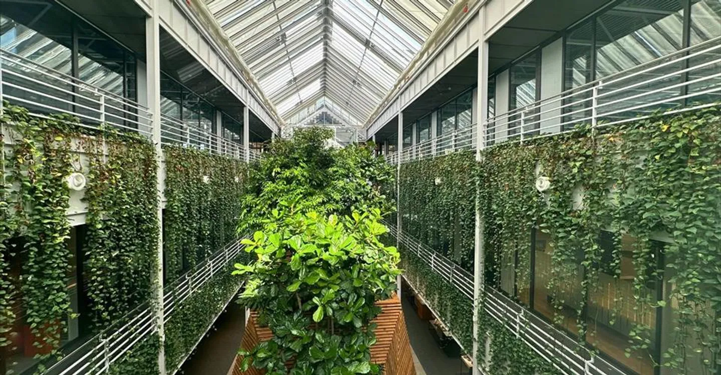 Immeuble mixte à louer - Photo 4 sur 7