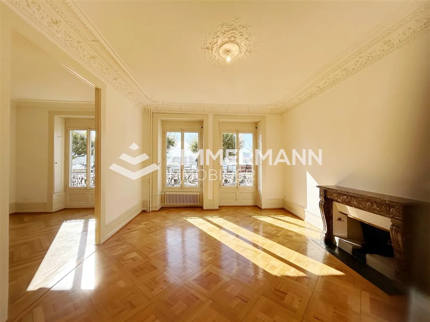 Appartement spacieux de 5 pièces sur les quais du Mont-Blanc - Photo 3 sur 12