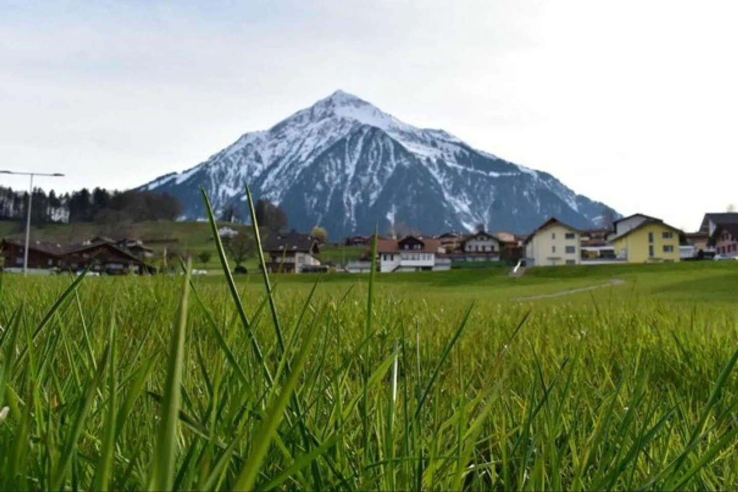 Gewerbezone mit Halle und 2 Wohnungen - Foto 1 von 3