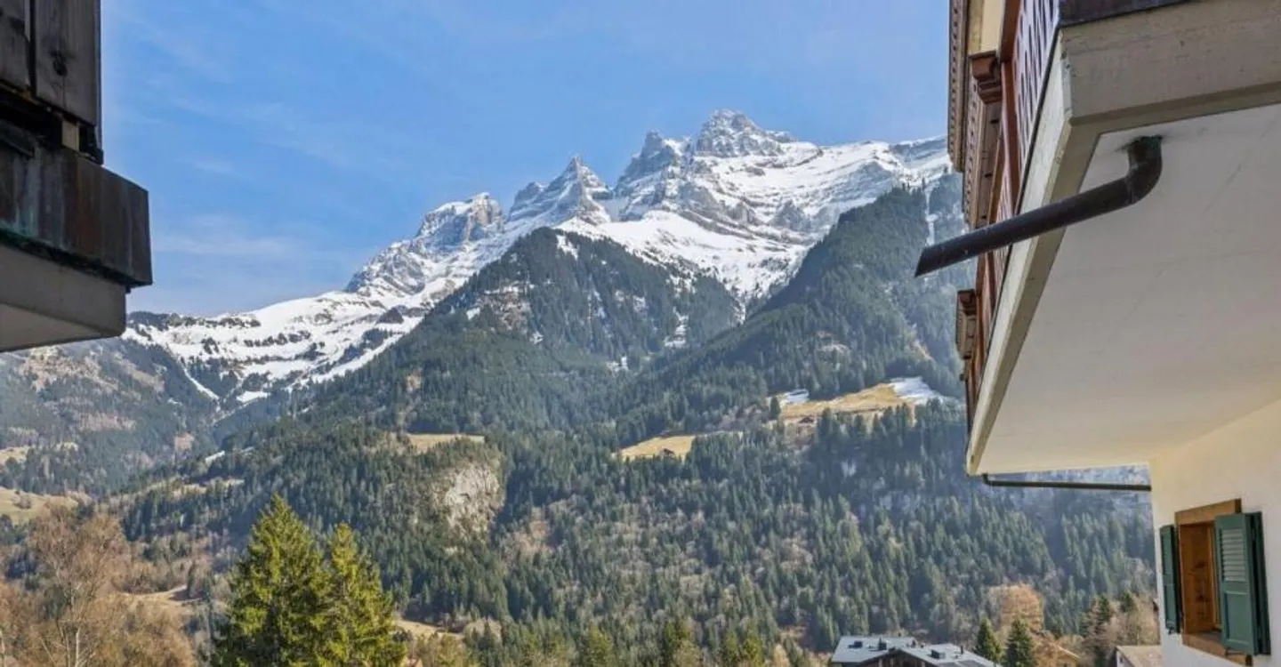 Erstklassiger Gewerberaum in Champéry - Foto 4 von 12