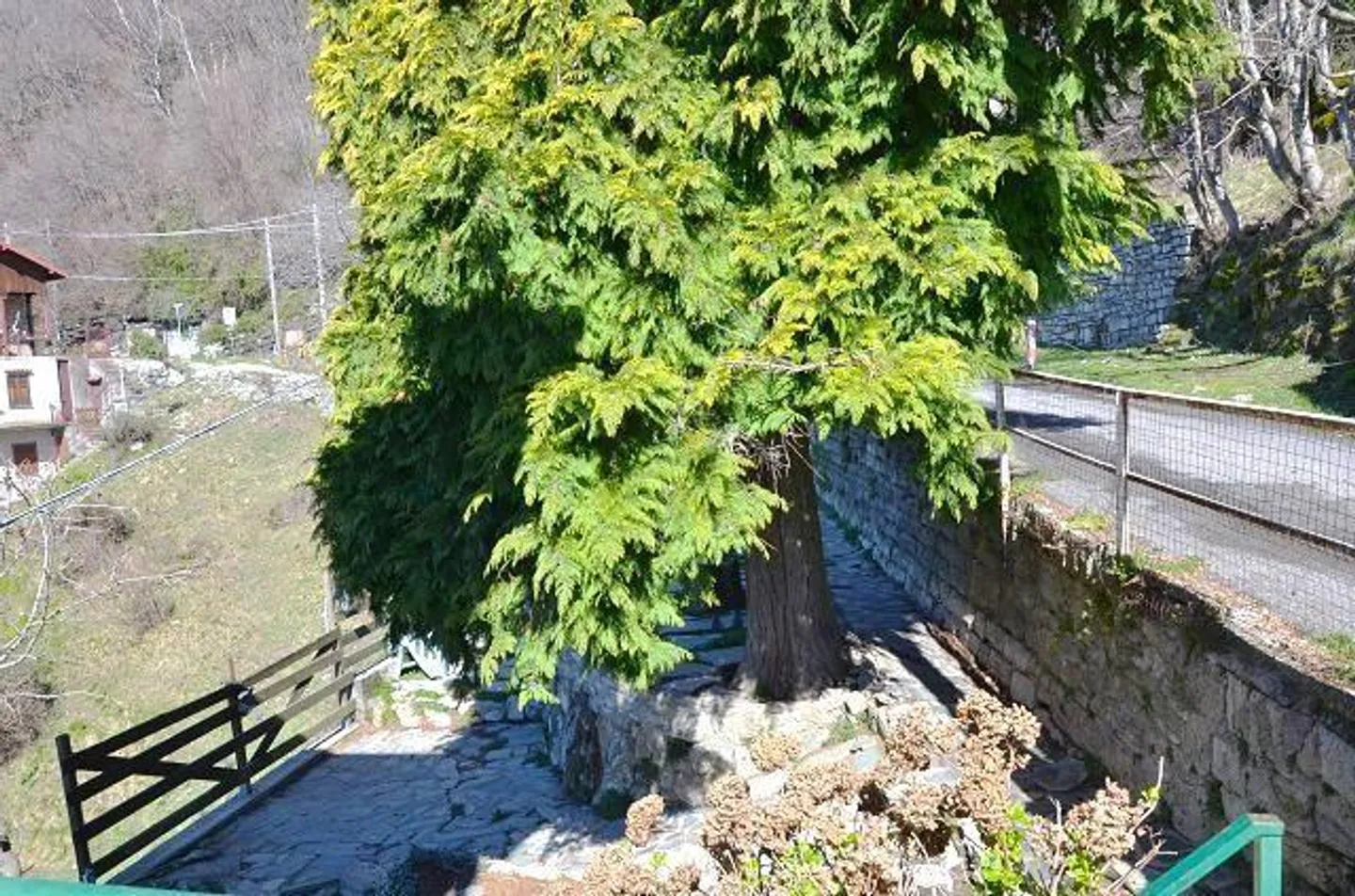 Casa singola in affitto - Foto 15 di 27