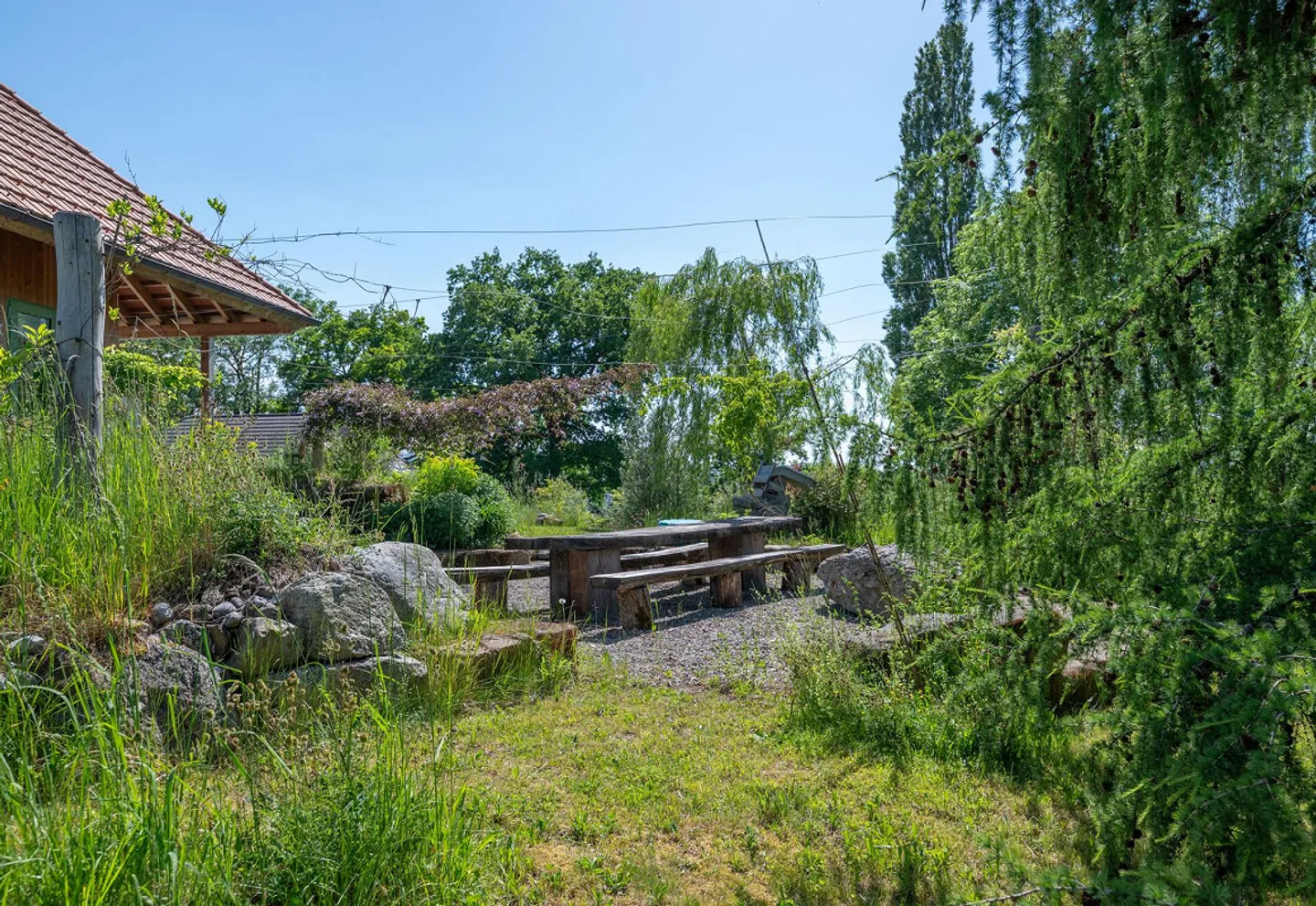 Ökologisches Holzhaus - Foto 4 von 15