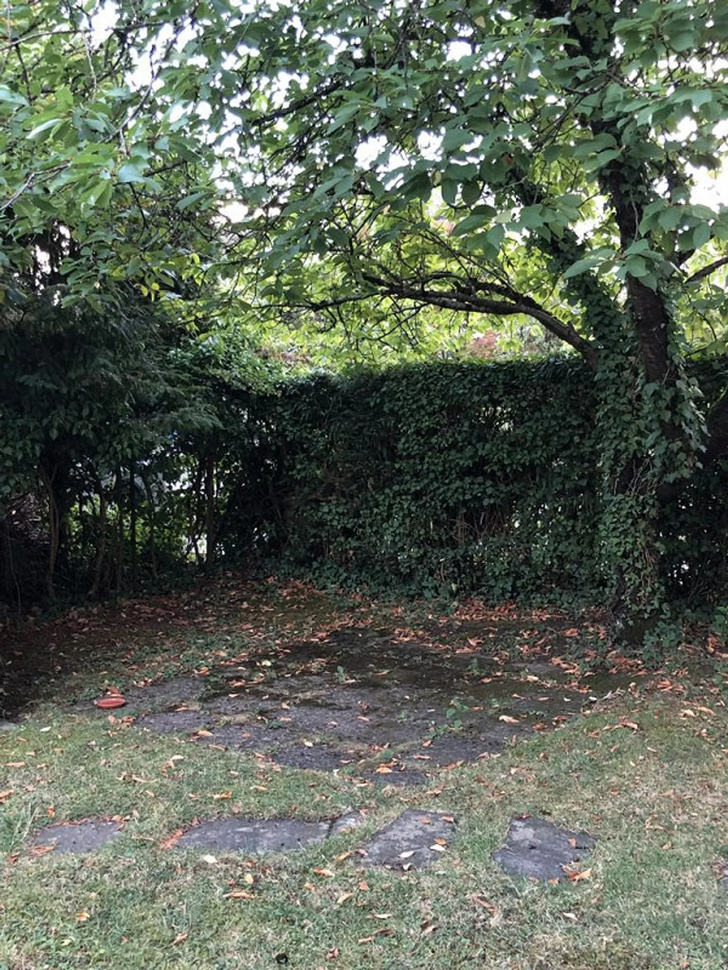 Appartamento di 4,5 stanze in affitto in una casa bifamiliare - Foto 19 di 20